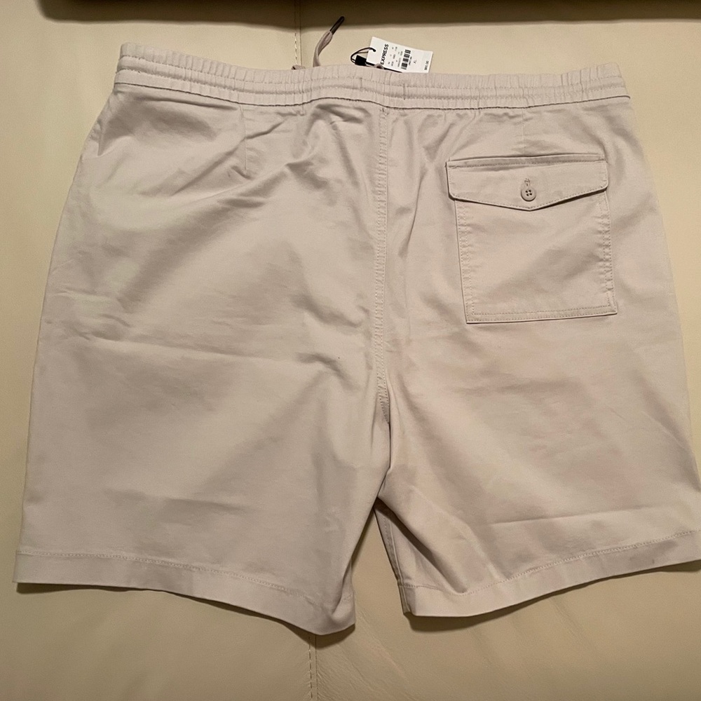 Express Shorts - Picture 3 of 5